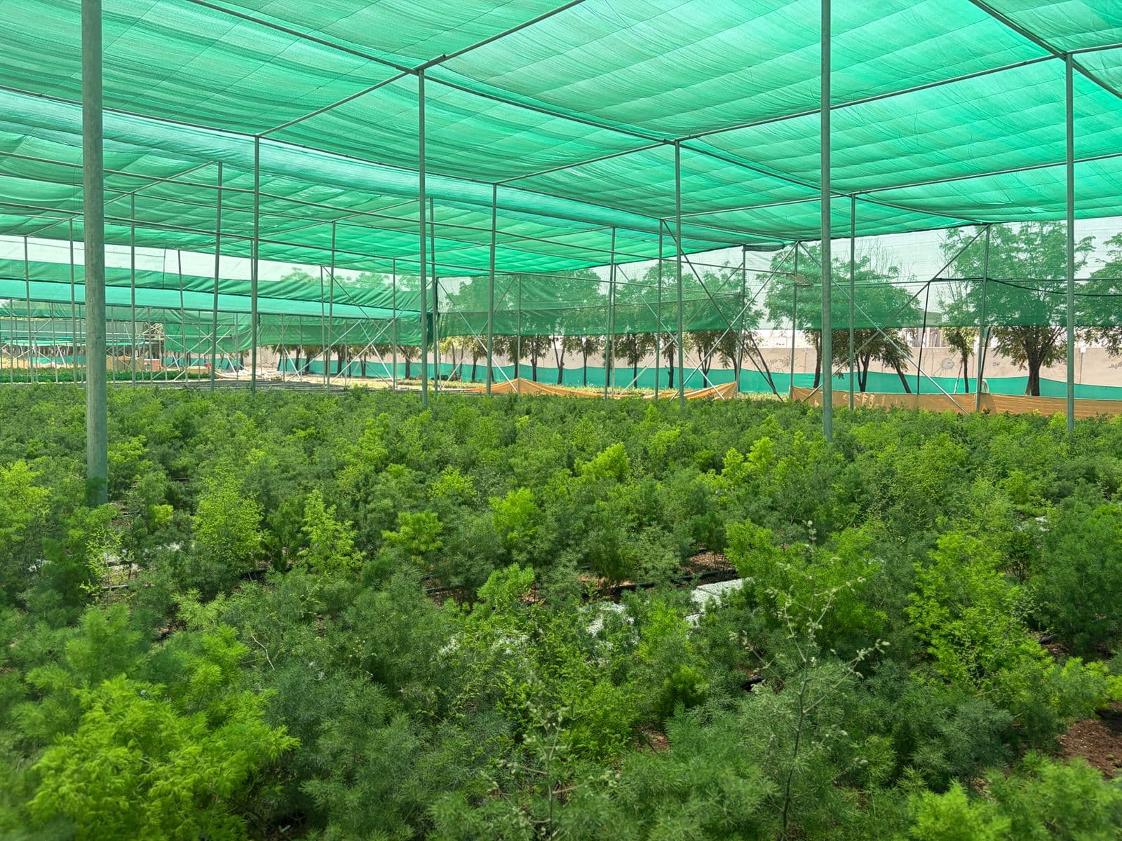 Wide view of temperature-controlled greenhouse